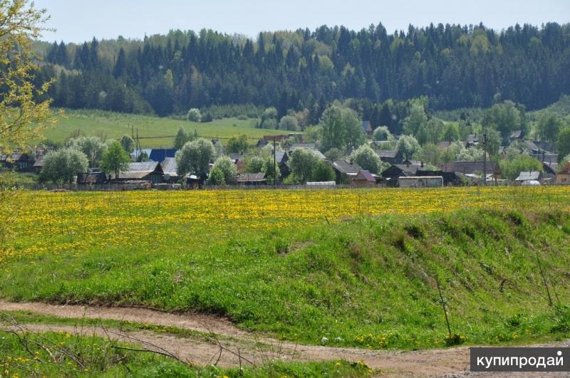 Участок пермский край. Деревня Пьянкова Пермский край. Осинского района Осинская Слобода. Д Пьянкова Осинский район. Пьянкова Осинский район Пермский край.