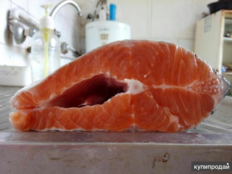 ООО «МЕЙГУ» занимается организацией прямых поставок морепродуктов из Ирана.