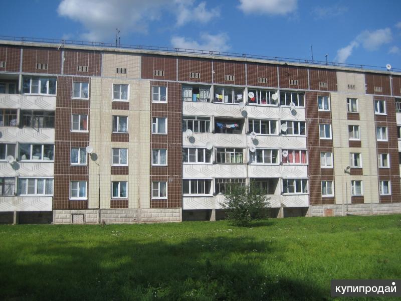 Купить квартиру в луге ленинградской