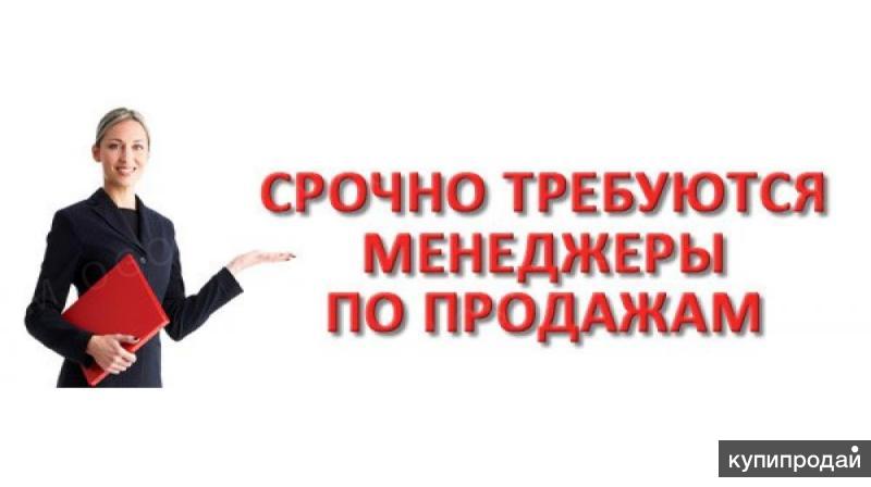 Менеджер водитель