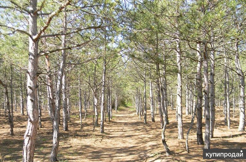 Купить Участок В Крыму В Нижнезаморском