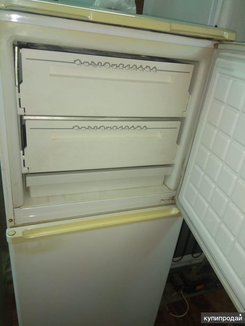 Все модели холодильников бирюса с фото