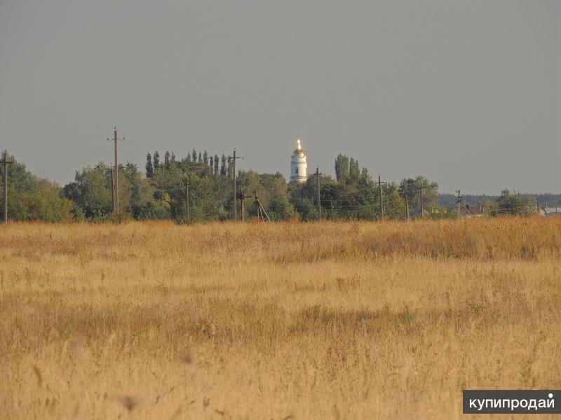 Панино липецкая обл