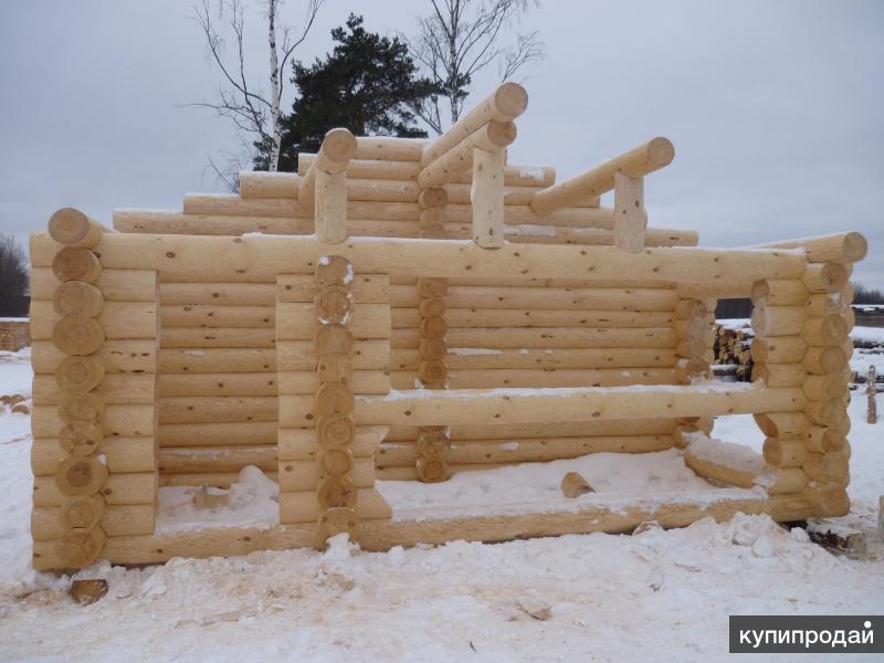 Плотники строят сруб. Конопатим сруб мхом. Срубы в твери. Готовые срубы. Купить сруб в твери недорого.