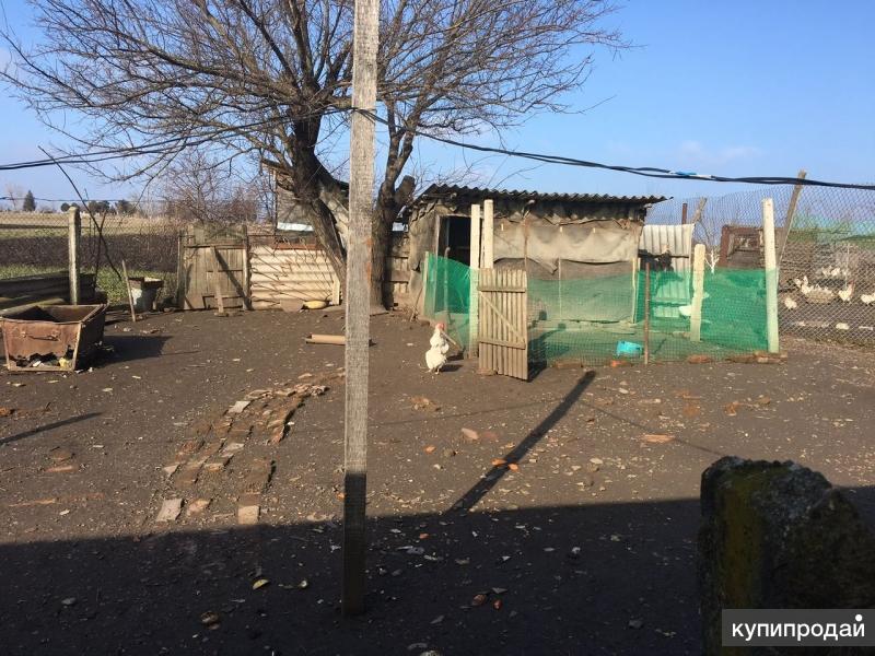 Село николенское погода краснодарского края. Село Николенское Гулькевичского. Погода Николенское гулькевическогорайонакраснодарскогокрая.