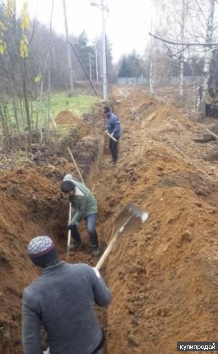 центр разнорабочих