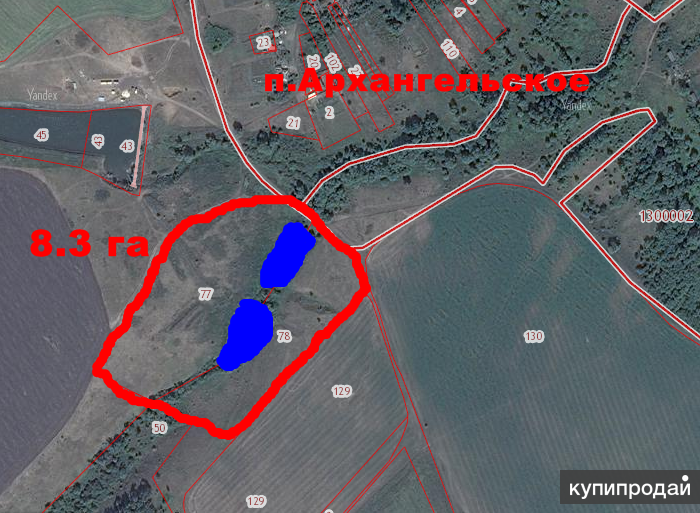 3 гектара. Пруд 3 гектара. Пруд на участке 3 га. 3 Га 8 а = а. Пруд площадью 2 га.