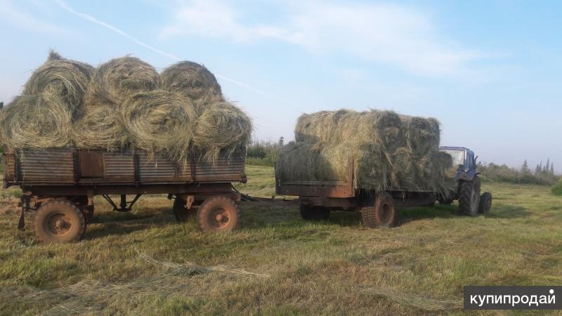 Купить Сено В Брестской Области