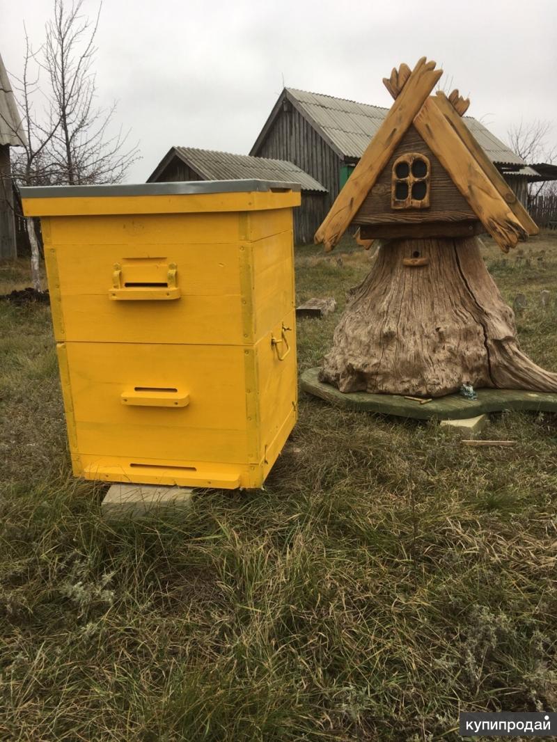 Купить Ульи Бу В Пензенской Области