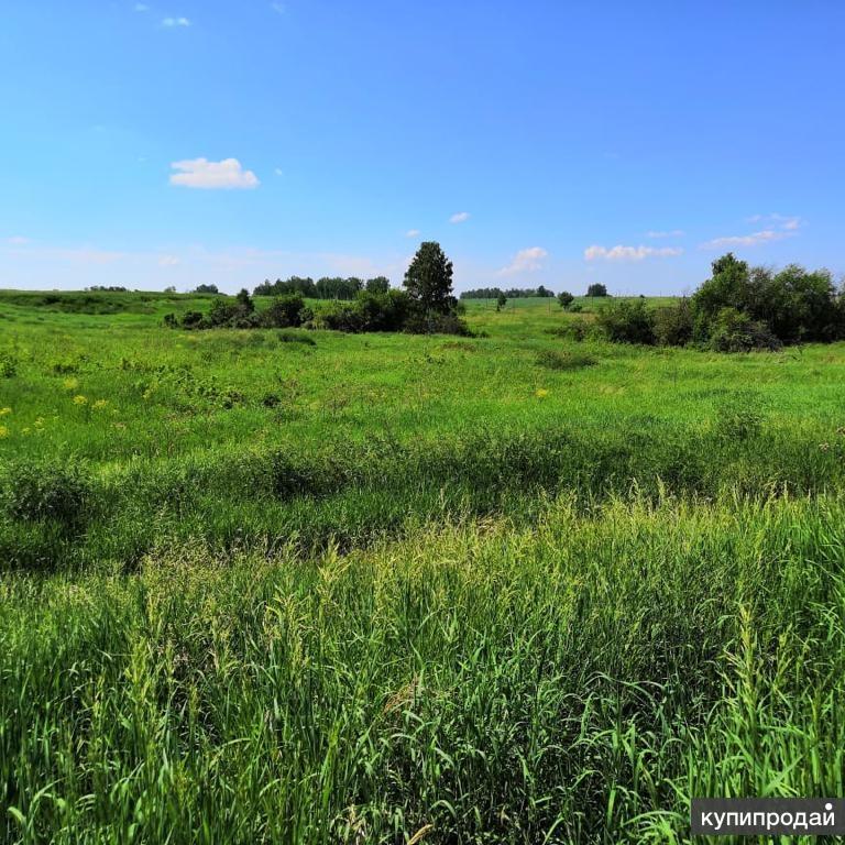 Земельный участок красноярский край. Ручей Минжуль. Фотографии с соткой.