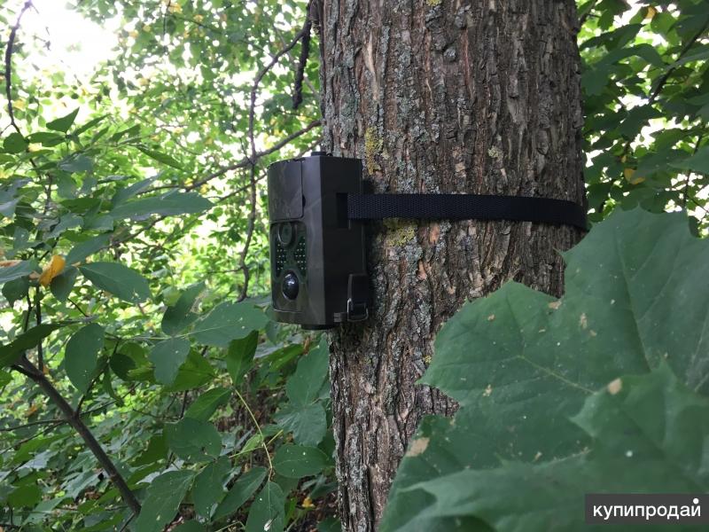 Программа для фотоловушки филин. Крепление для фотоловушки своими руками. Пароль фотоловушки Филин. Инструкция фотоловушки Филин 120. Устройство фотоловушки Филин.