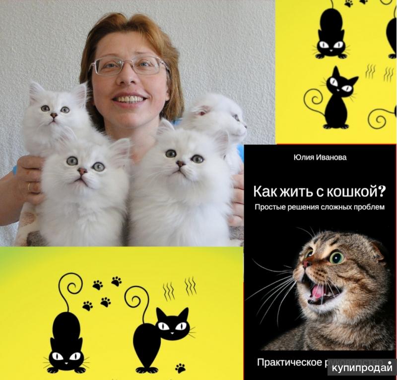 Зоопсихолог для кошек