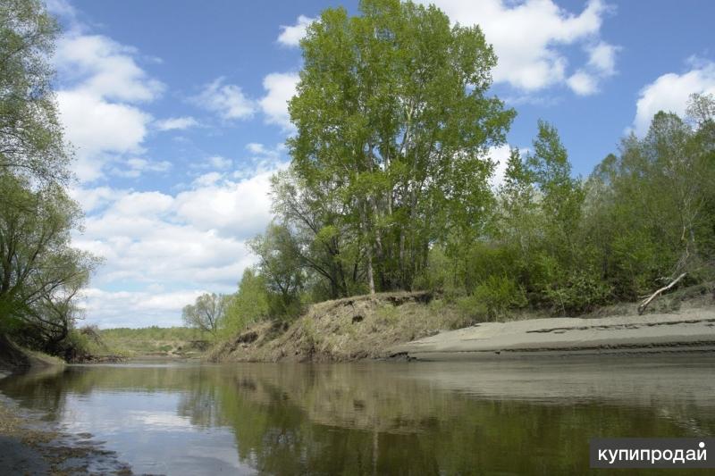 Санниково алтайский край. Река лосиха Алтайский край. Село Санниково Алтайский край. Новоалтайск Алтайский край река. Река лосиха Барнаул.