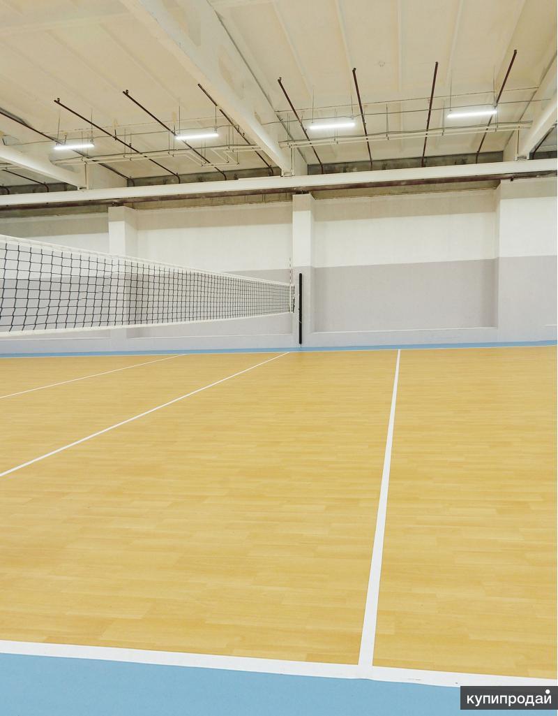 Залы для волейбола аренда