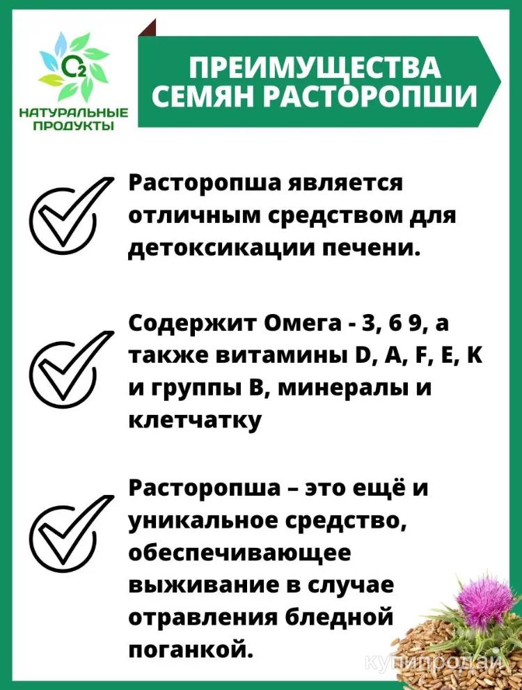 Польза семян расторопши для организма. Расторопша семена состав. Жмых семян расторопши. Польза семян расторопши для организма. Семена расторопши.