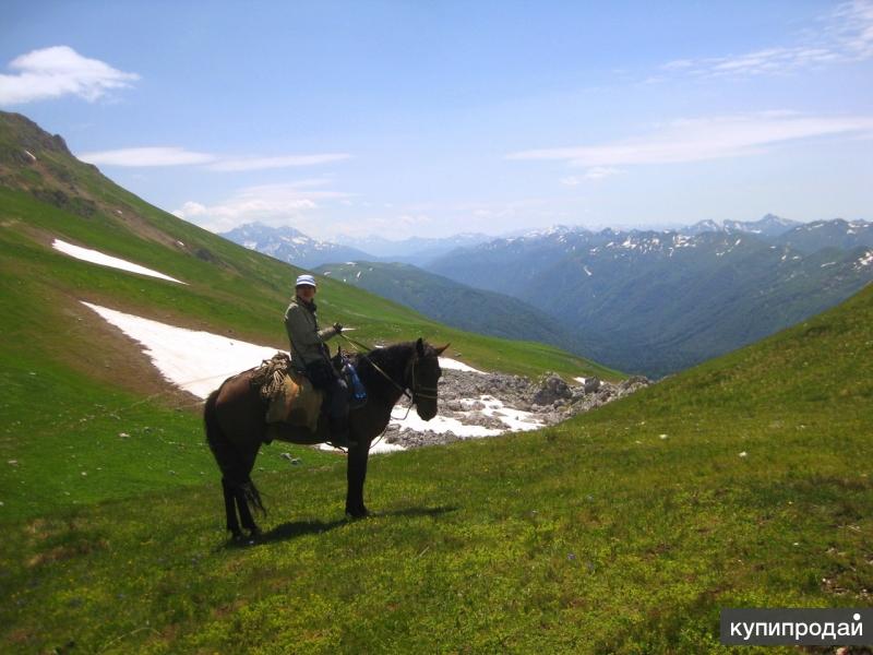 Конный поход Камчатка река