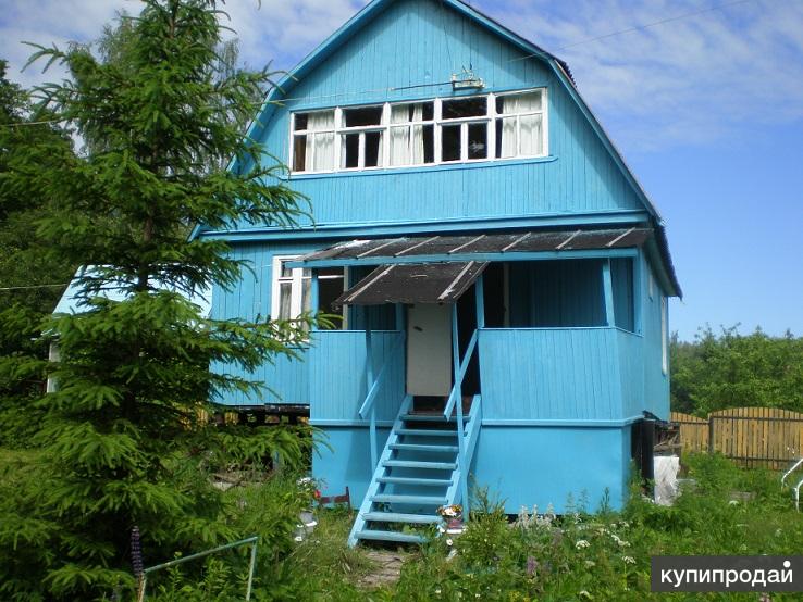 Тула дома недорого. Дачи в Тульской области. Ясногорские дачи. Ясногорск дачи. Дачи в Тульской.