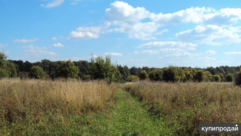 Купить Землю В Заре Пенза