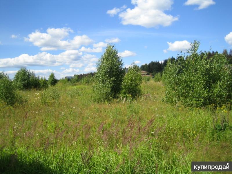 Снт восход тверь александровка. Полубратово. Плодородная земля. Авито участок в твери. Александровка участок тверь.
