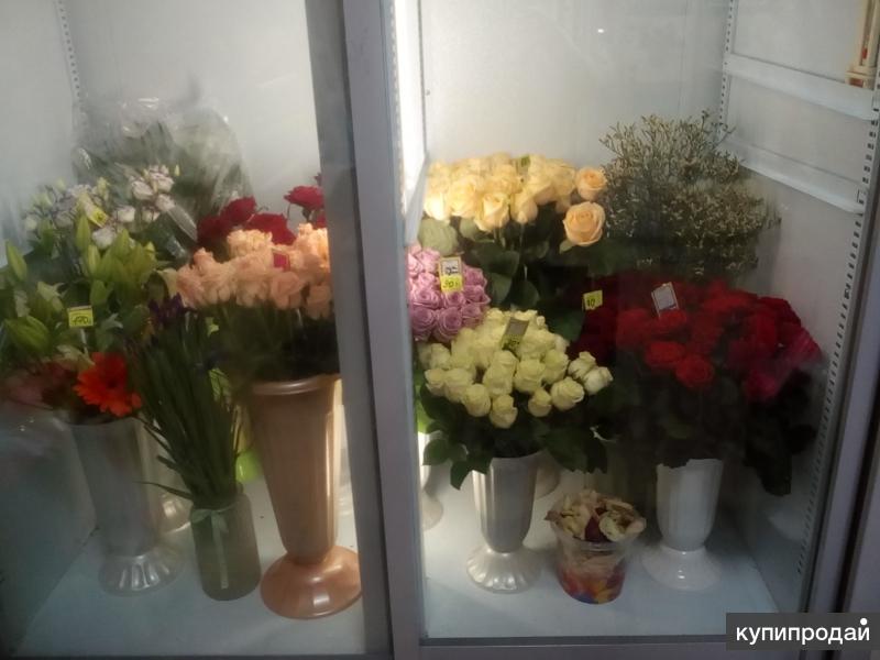 Продажа Магазина В Клину