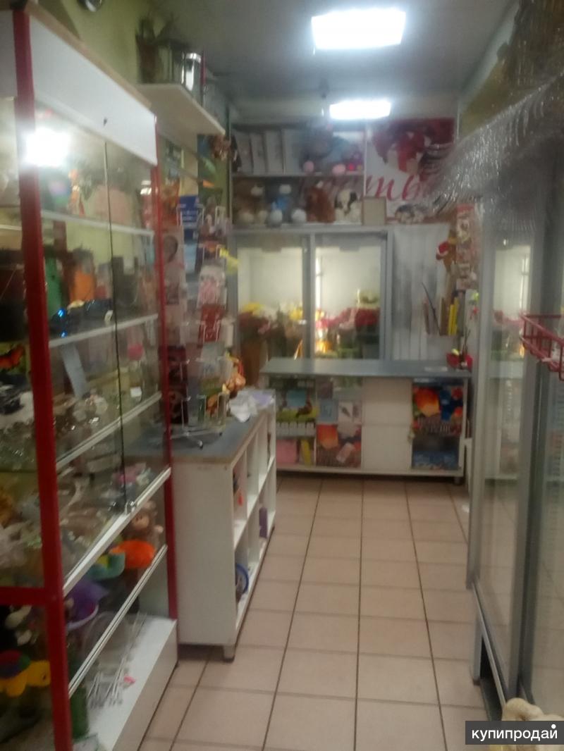 Продажа Магазина В Клину