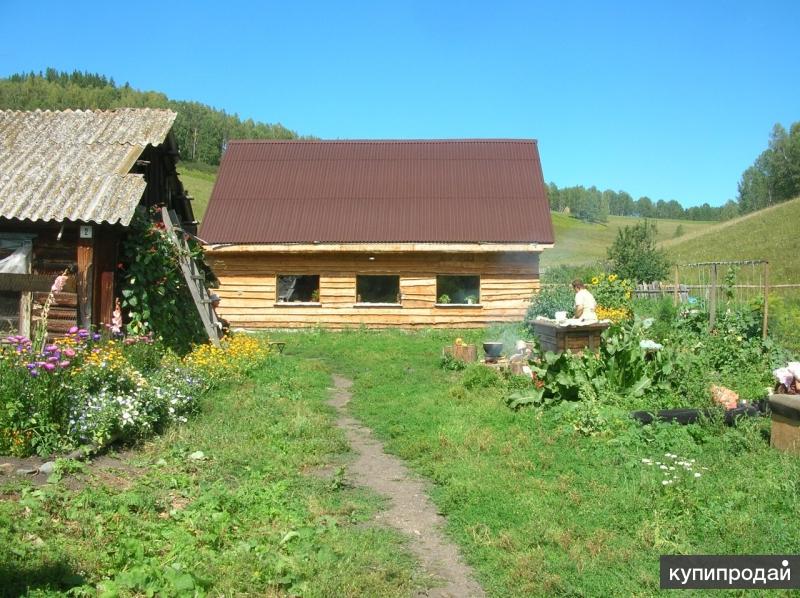 Купить Дом В Чарышском Районе Алтайского Края