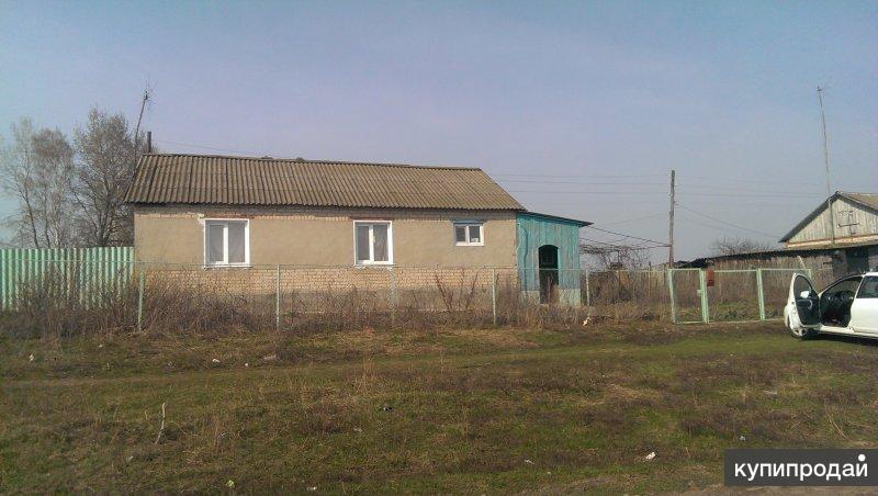 Жилой дом, в с. Мыцкое, 60км от Орла