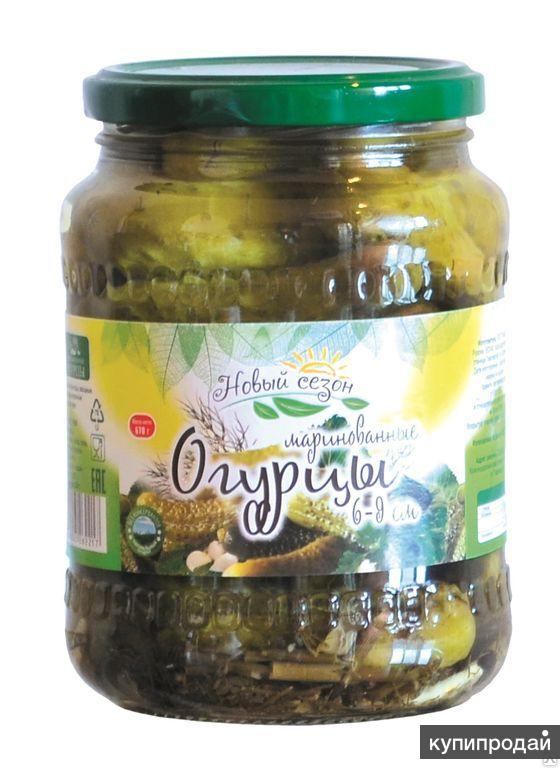 Маринованные Огурцы Купить Цена