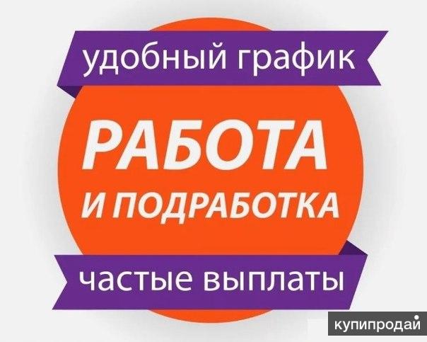 Вакансии для студентов в СПБ