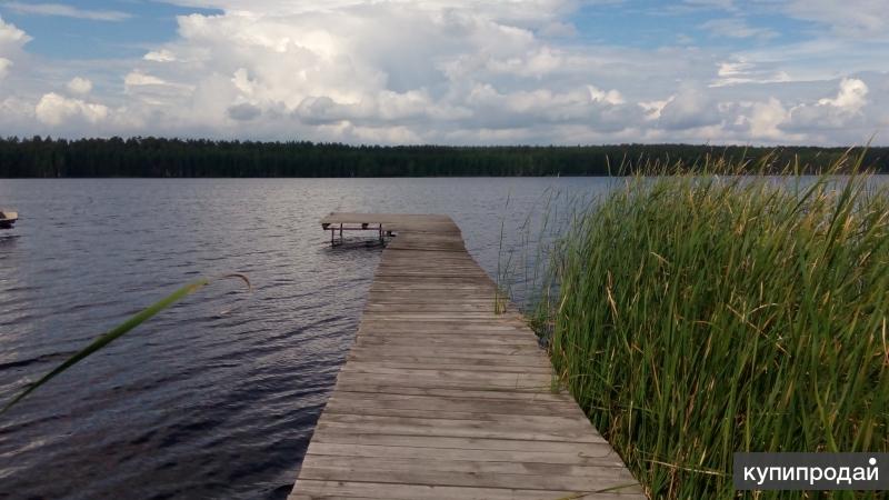 Купить Дачу На Берегу Мсты