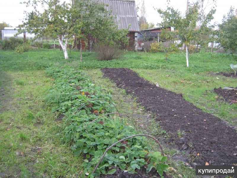 Купить Дачу Лпх В Пальники Пермь