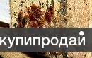 Служба по дезинфекции квартир насекомые Рубеж
