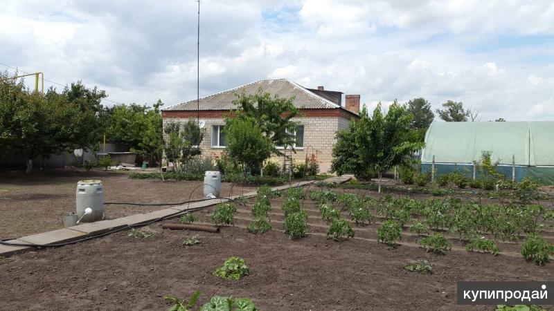 Ст багаевская. Green House, станица Багаевская Ростовская. Сады с фруктами Багаевского района Ростовской области. Магазины сад-огород в ст. Багаевская, Ростовской области. Продажа дома ст Багаевская дом 109.