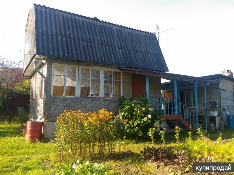 Купить Дачу Рядом С Сертолово