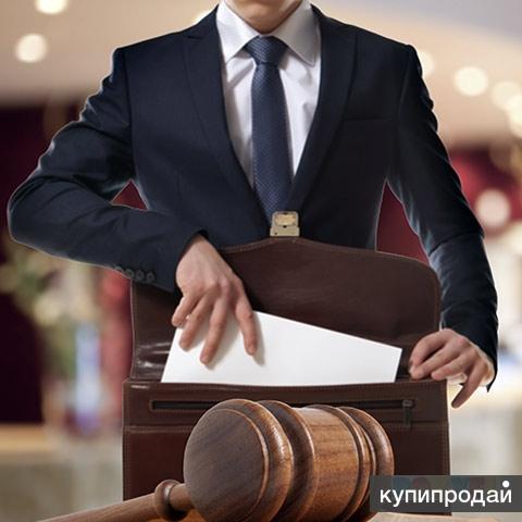 Квалифицированная юридическая помощь.