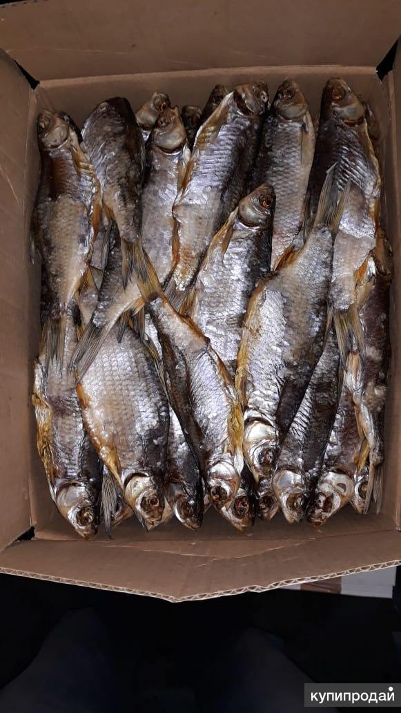 Продам вяленая рыба. Продам вяленая рыба. Продам вяленая рыба. Плотва вяленая. Лещ вяленый астраханский.