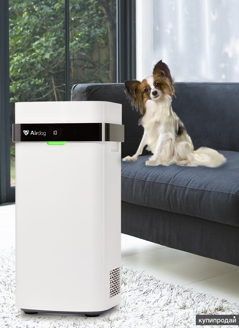 Air purifier x3. Аирдог очиститель воздуха. Очиститель воздуха для животных. Лучшие очистители воздуха. Воздухоочиститель настенный для дома.
