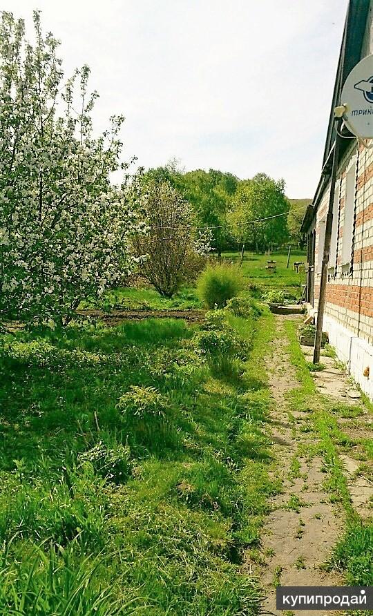 Купить Продать Дом Саратовская Обл Лысогорский Район