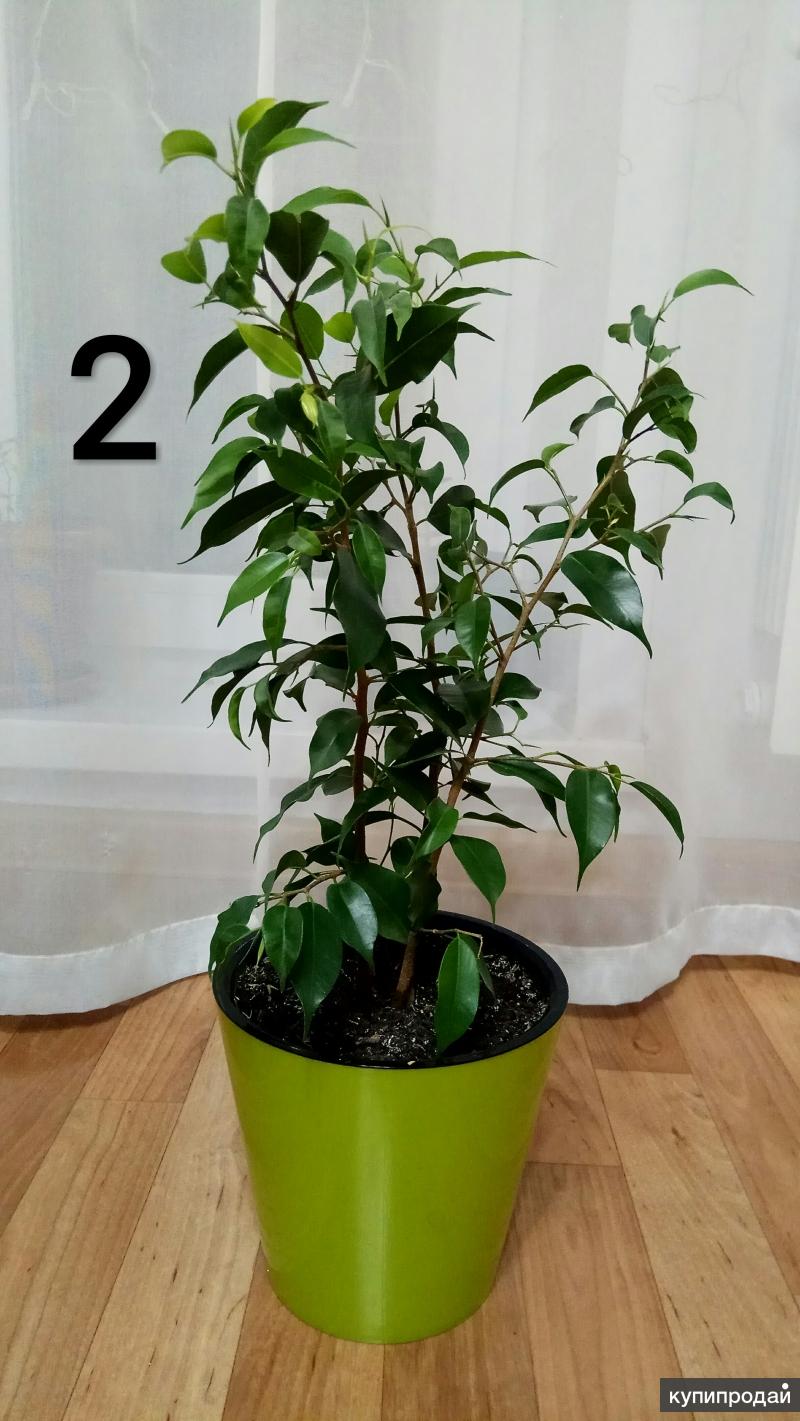 Неактивно