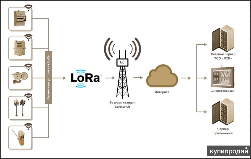 WB Lora - 19398