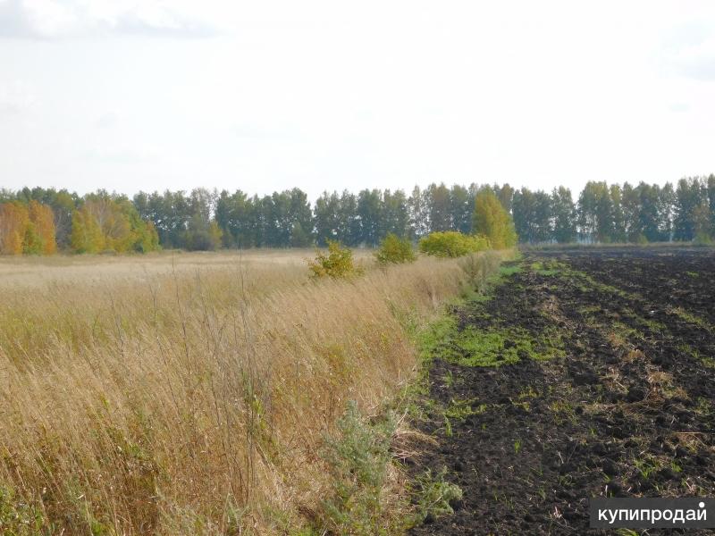 Участок верхняя. Земельных участков сельхозназначения в Омске. 340 Сотка. Верхний Карбуш Омская область красивые места. Срочно продам участок.