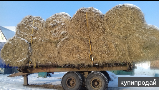 Купить Сено В Ишиме И Ишимском Районе