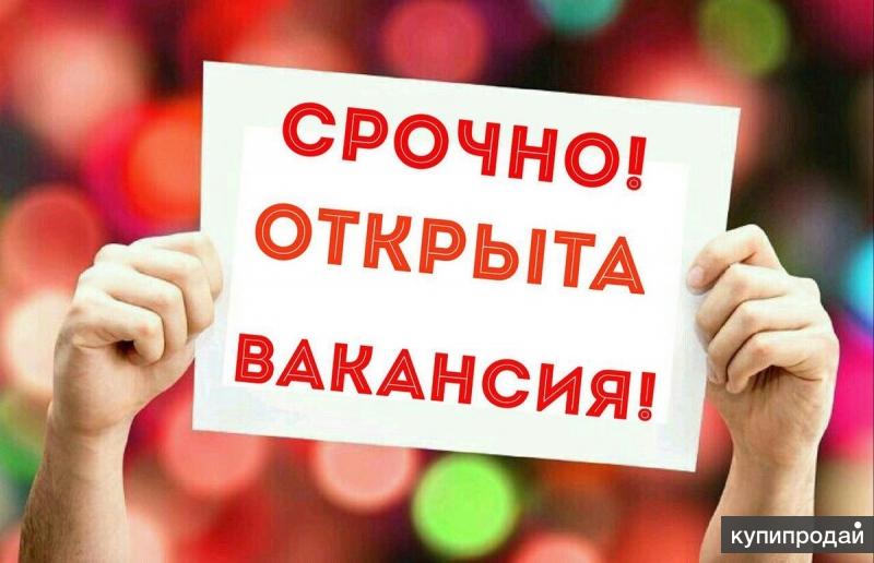 Подработка На Новогодние Праздники