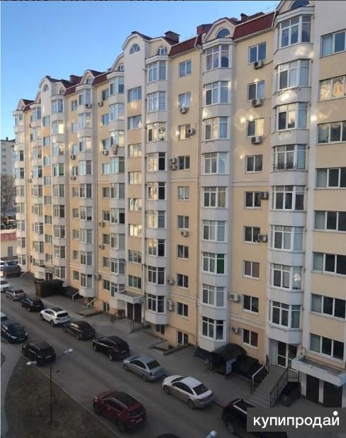 Луговая улица 6к1. Синергия симферополь. Улица луговая симферополь. Ул полевая симферополь. Симферополь ул луговая 6.