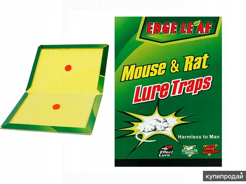 Клей для мышей купить. Клеевая ЛОВУШКА-книжка от крыс и мышей rat&Mouse /50. Клеевая ЛОВУШКА для мышей. Клеевая ЛОВУШКА для крыс. Липучка для мышей.