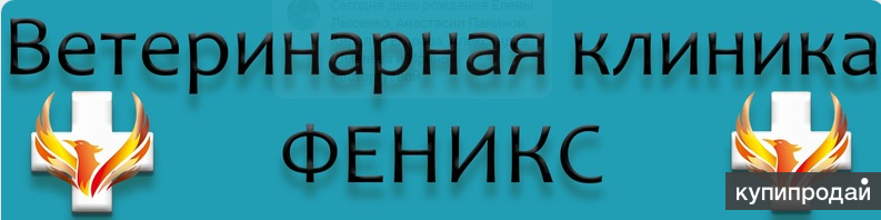 Центр феникс ростов на дону