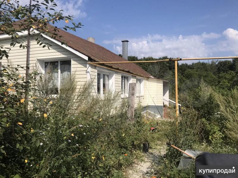 Авито Касимов Недвижимость Купить